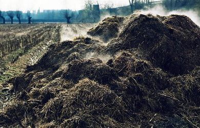 Термическая сушка